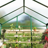 6X10 FT Greenhouse for Outdoors, Polycarbonate Greenhouse with Roof Vent, Ground Nails, Lockable Push Door, Aluminum Large Walk-In Green House for outside Garden Backyard, Patio, Lawn, Green
